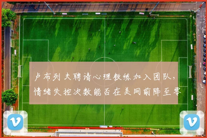 卢布列夫聘请心理教练加入团队，情绪失控次数能否在美网前降至零